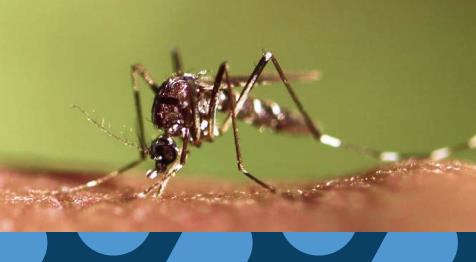 Malaria in Nigeria